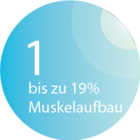 BODYformer - Muskelaufbau